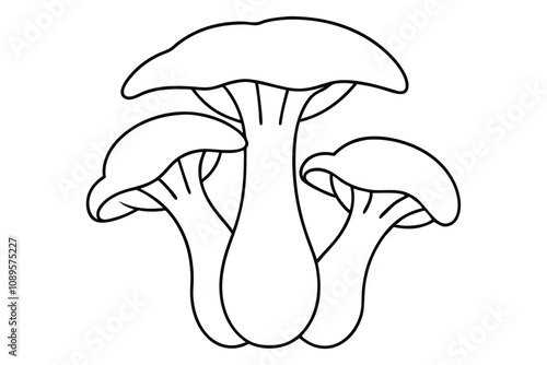 Chanterelles line art vector illustration