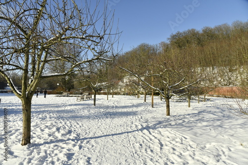 Le jardin de l'abbaye du Rouge-Cloître sous la neige à Auderghem (Bruxelles)  photo