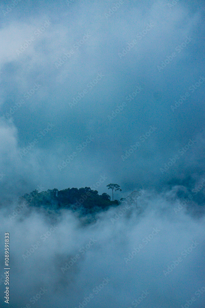 Obraz premium Misty mountainscape nature landscape photography foggy environment aerial view tranquility and serenity