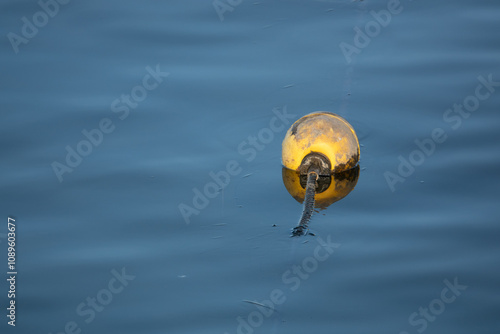 einzelne gelbe Boje zur Begrenzung im Wasser photo