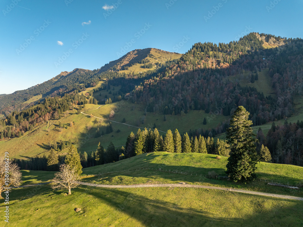 Obraz premium panoramic aerial view in Autumn of the alpine landscape of the Nagelfluh mountain chain in Steibis, Allgaeu Alps, Bavaria, Germany