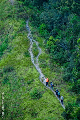 Hiking adventure group lush mountain trail outdoor activity natural environment aerial view team spirit