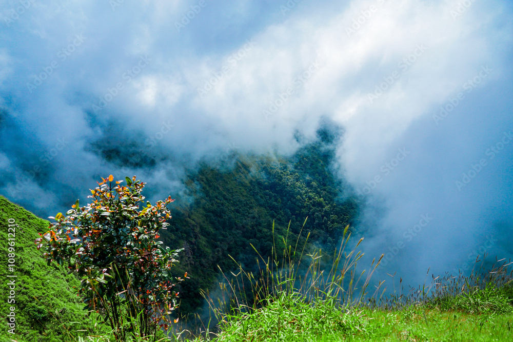 Fototapeta premium Stunning fog-covered mountain view nature landscape photography serene environment elevated perspective tranquility