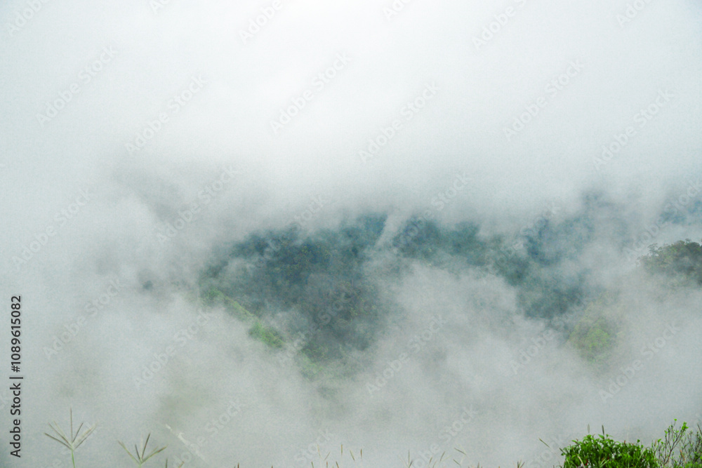 Fototapeta premium Misty mountain landscape nature scene foggy environment tranquil viewpoint serenity concept for nature enthusiasts