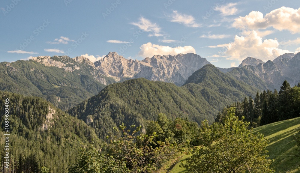 Fototapeta premium Stunning summer scenery with alpine meadows and mountains in Slovenia. Logarska Dolina and alpine forest with flowery fields from the Solcava panoramic road, Logar valley, Slovenia, Europe