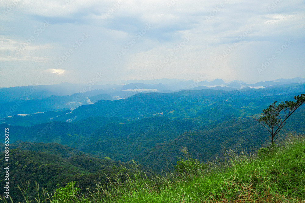 Breath-taking mountain view high altitude location landscape photography lush greenery panoramic view nature's serenity Breath-taking mountain view high altitude location landscape photography lush greenery panoramic view nature's serenity
