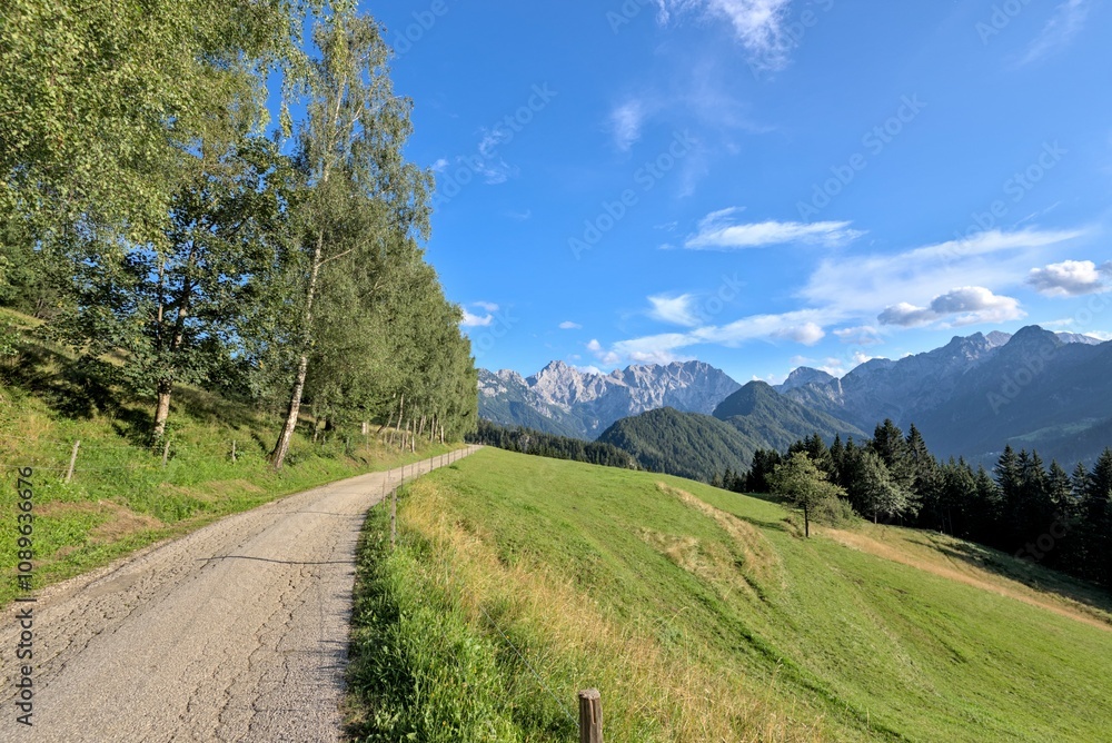 Stunning summer scenery with alpine meadows and mountains in Slovenia. Logarska Dolina and alpine forest with flowery fields from the Solcava panoramic road, Logar valley, Slovenia, Europe Stunning summer scenery with alpine meadows and mountains in Slovenia. Logarska Dolina and alpine forest with flowery fields from the Solcava panoramic road, Logar valley, Slovenia, Europe
