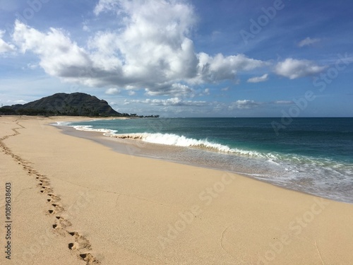 Hawaiian beach footprints