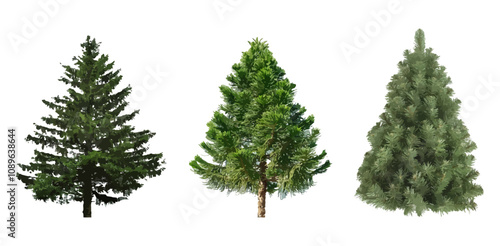 Realistic spruce tree collection isolated on white background. 3d evergreen trees 