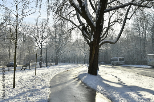 Brillance sur la piste cyclable dégagée de neige à l'entrée de la forêt de Soignes à Woluwe-Saint-Pierre (Bruxelles) photo