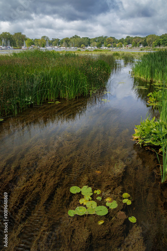 Muskegon Lake Nature Preserve (2024)