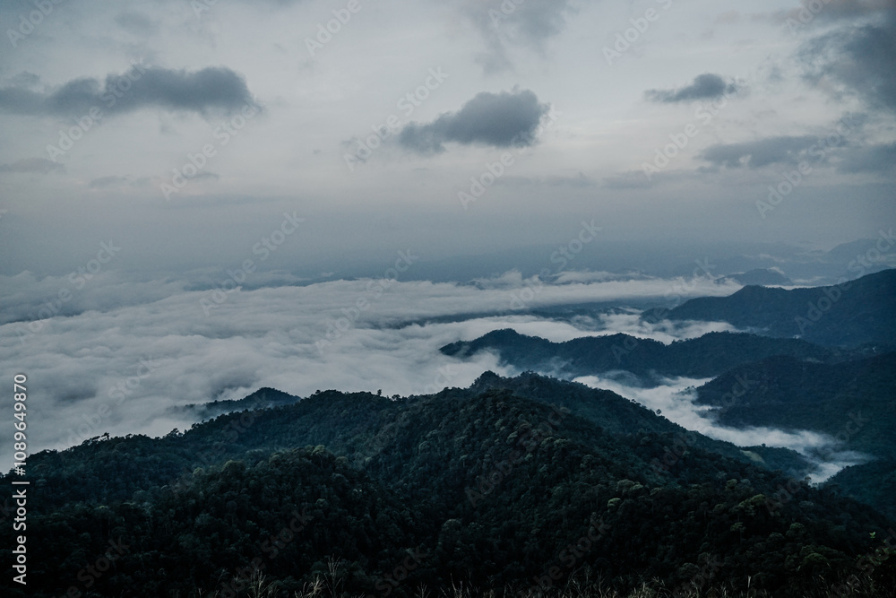 Misty mountain landscape at dawn cloud cover nature photography serene environment wide-angle view tranquil concept
