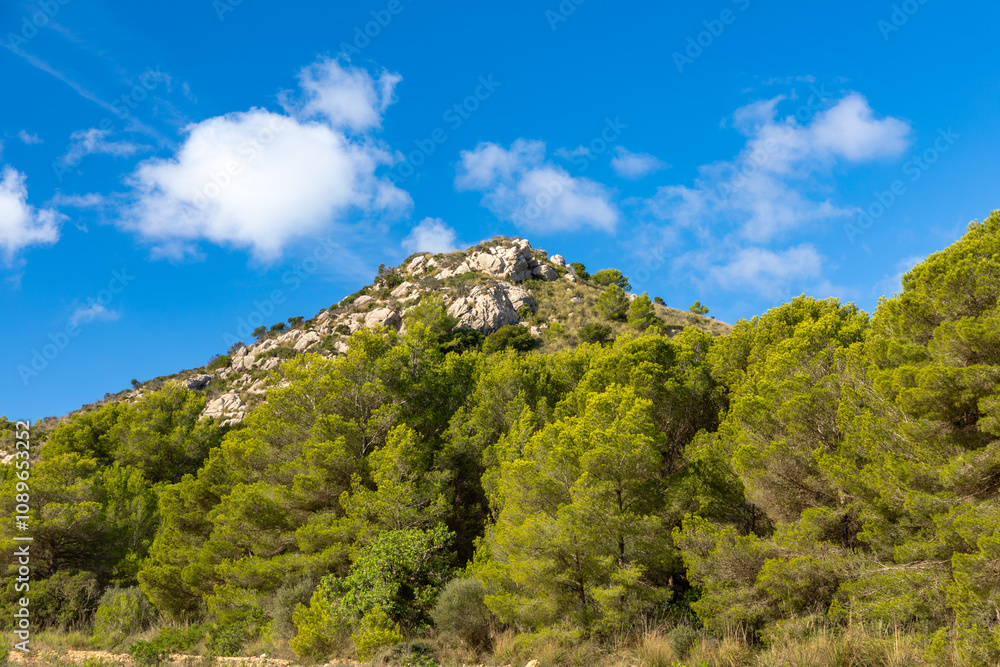 Fototapeta premium Hügel am Wanderweg zwischen Font de Sa Cala und Canyamel, Mallorca, Spanien