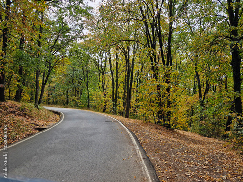 Road in the mountain forest in Serbia photo