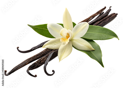 vanilla flower with pods and leaves isolated on white background.AI GENERATED