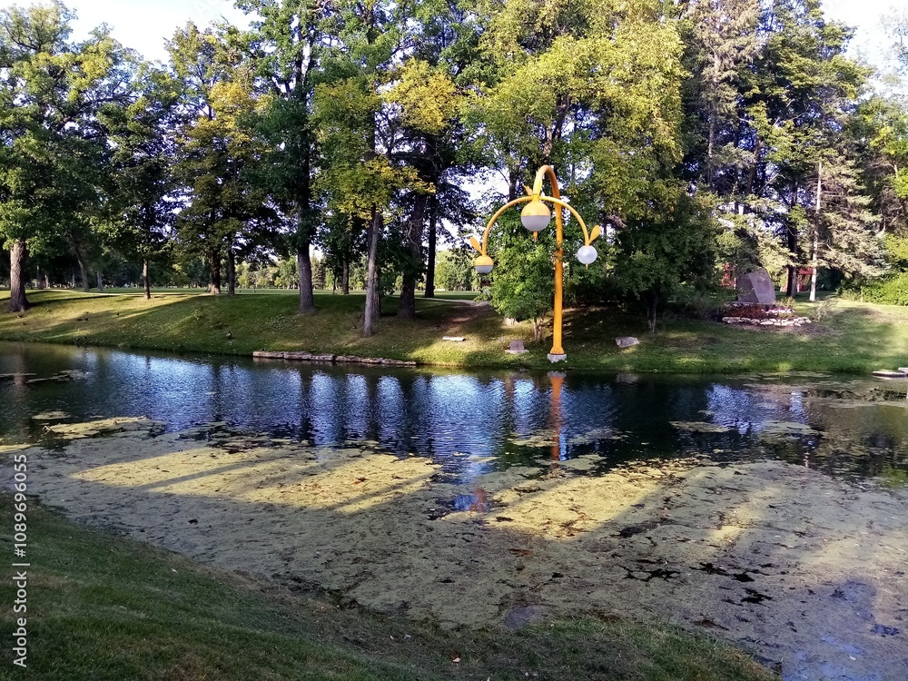 Fototapeta premium small river in the park