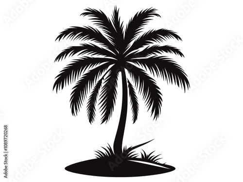 palm tree silhouette