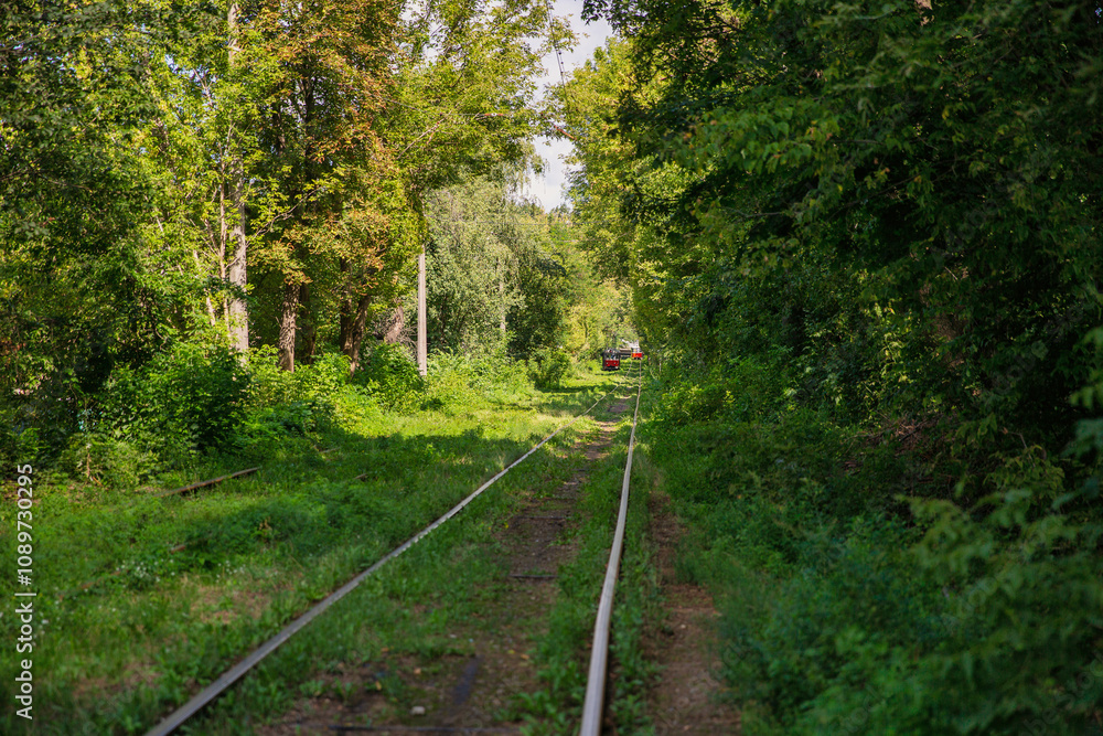 Obraz premium Long tram tracks running through the forest.