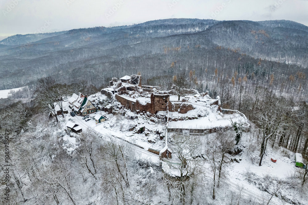 Aerial view ruins of old castle. Winter. Ruin of Hohnstein Castle, Harz mountains, Germany.