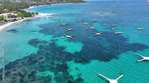 Corse du sud coté Porto Vecchio, des plages de sable fin d'une beauté exceptionnelle, île de beauté, la corse photo