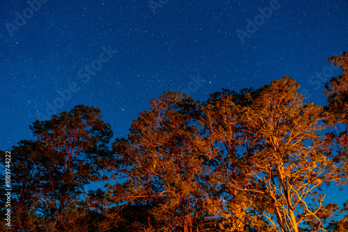 a night view of the sky