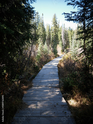 Long wooden bridge through marshy forest on ATV trail in Araphahoe National Forest in autumn in Granby Colorado  photo