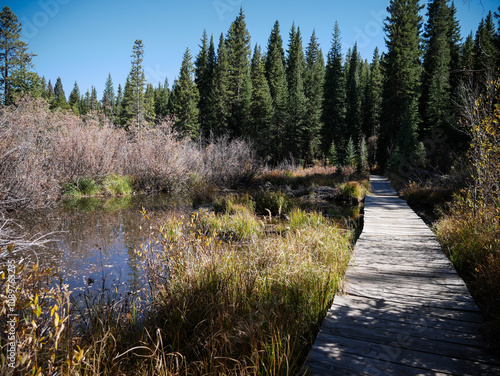 Long wooden bridge through marshy forest on ATV trail in Araphahoe National Forest in autumn in Granby Colorado next to pond photo