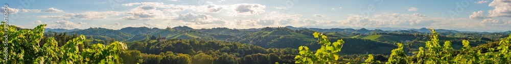 Panorama of Vineyards along the South Styrian Wine Road in Summer, Austria Europe Panorama of Vineyards along the South Styrian Wine Road in Summer, Austria Europe