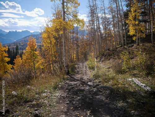 ATV trail through Uncompahgre National Forest in autumn with fall colors near Montrose Colorado on Owl Creek Pass photo