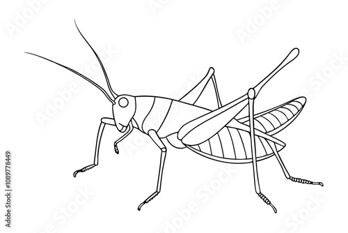 Elegant Line Drawing of a Grasshopper Minimalist Art Inspiration photo