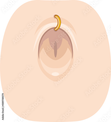 Golden ring adorns a belly button piercing, showcasing body modification and personal style