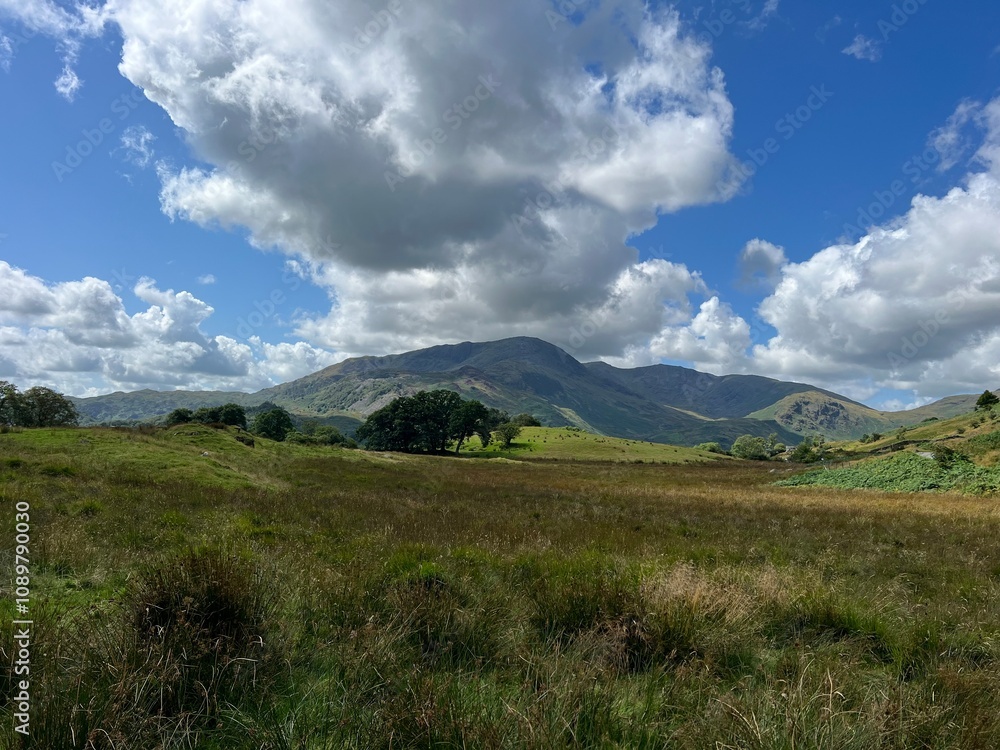Fototapeta premium Lake District Scenery