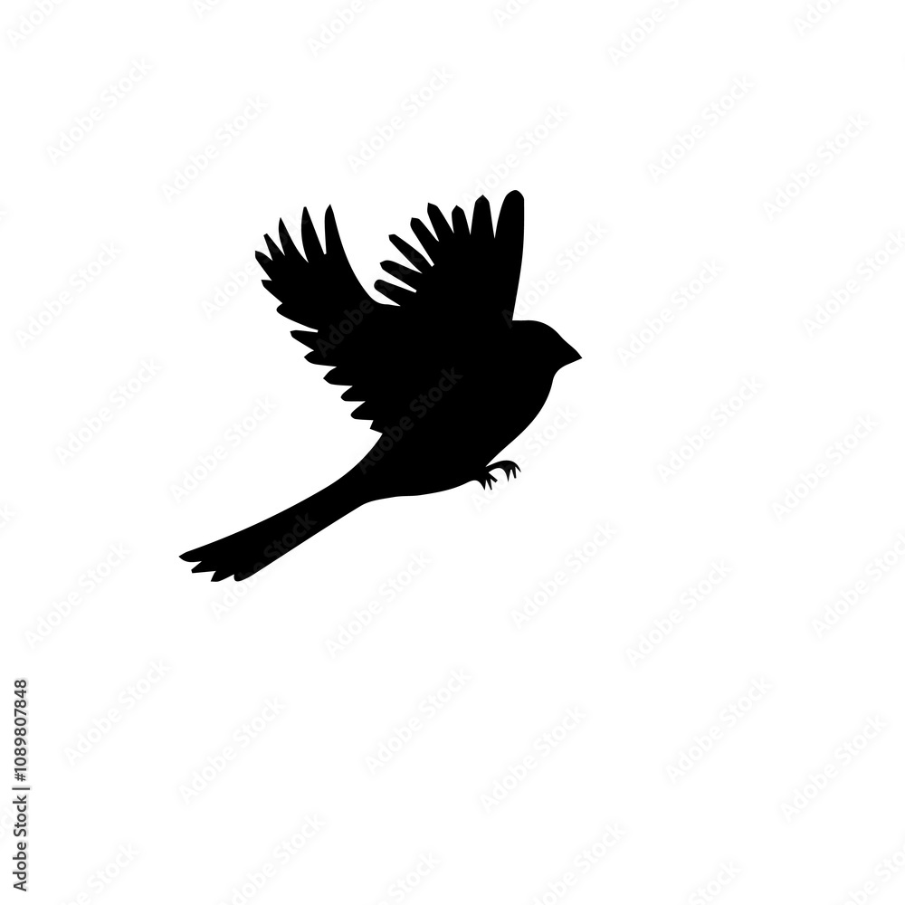 Fototapeta premium cardinal bird