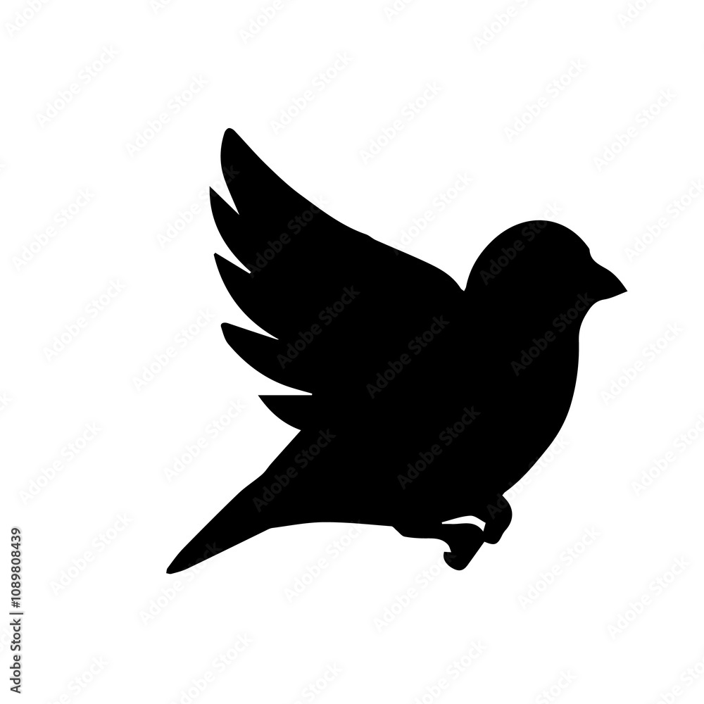 Fototapeta premium canary bird