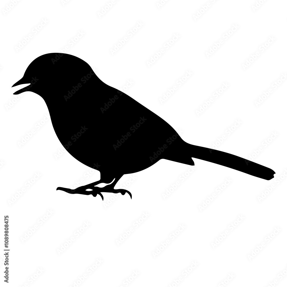 Obraz premium canary bird