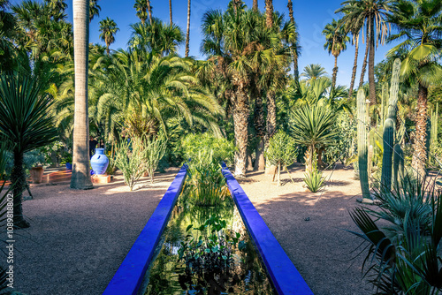 Cactus du jardin Majorelle à Marakech