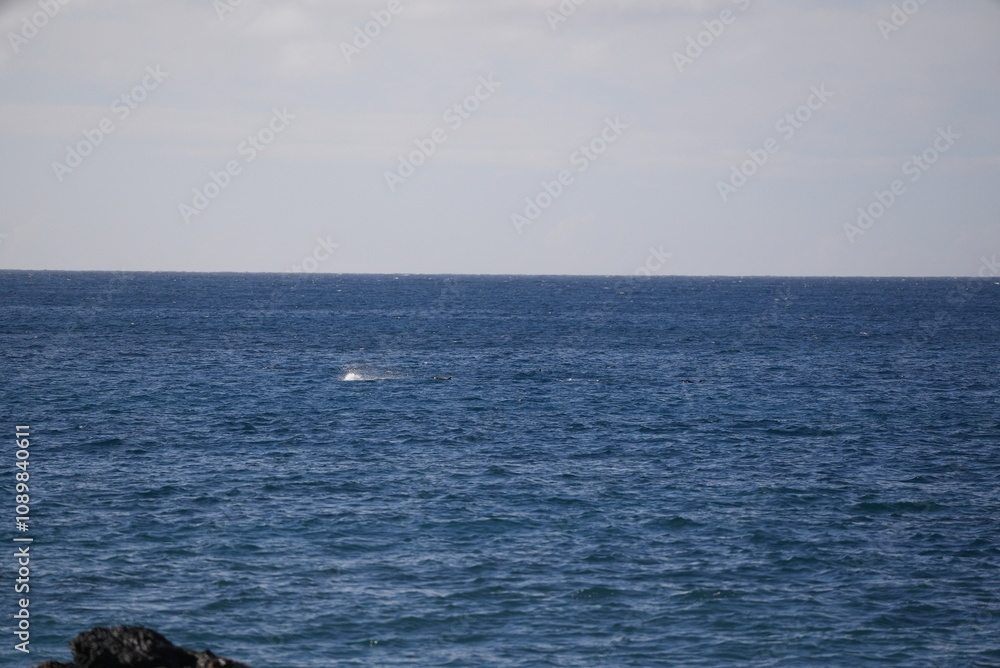 Fototapeta premium Leaves changing colors in the fall reflection on a lake