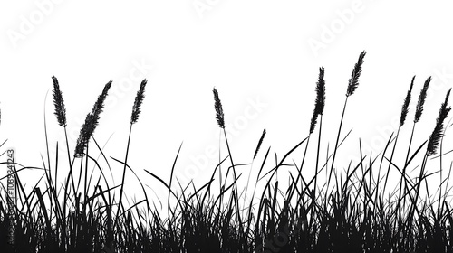 Artistic marsh reeds and cattail bulrush grass silhouette illustration