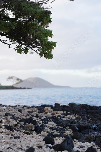 coral rocks on the beach, Big beach Makena Maui Hawaii photo