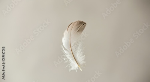 Delicate brown and white feather floating against a soft beige background photo