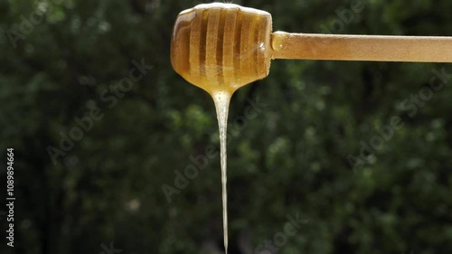 bee honey in jar with an ecological wooden stick spoon on the traditional Jewish holiday of Rosh Hashana on by window on sunny day. Close-up