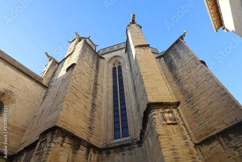Obraz na płótnie La cathédrale Saint-Siffrein, de style gothique méridional, vue de l'extérieur, ville de Carpentras, département du Vaucluse, France w salonie