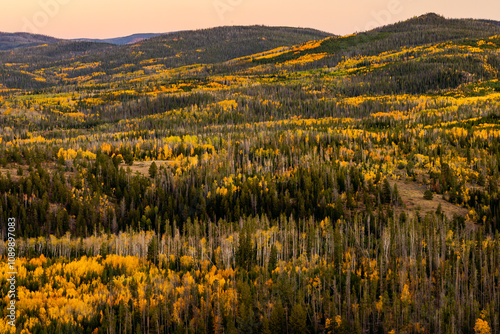 Fall Colors in the Sierra Madre Mountains in Wyoming photo