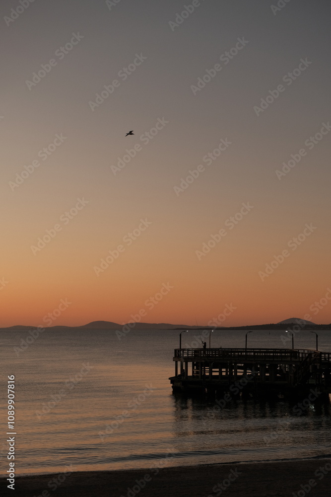 Obraz premium Muelle de Punta Del Este