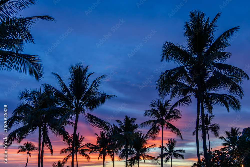 Obraz premium Palm Trees Silhouetted Against a Vibrant Sunset Sky on Big Island, Hawaii – Tropical Paradise, Tranquil Scenic Landscape, Colorful Hawaiian Evening