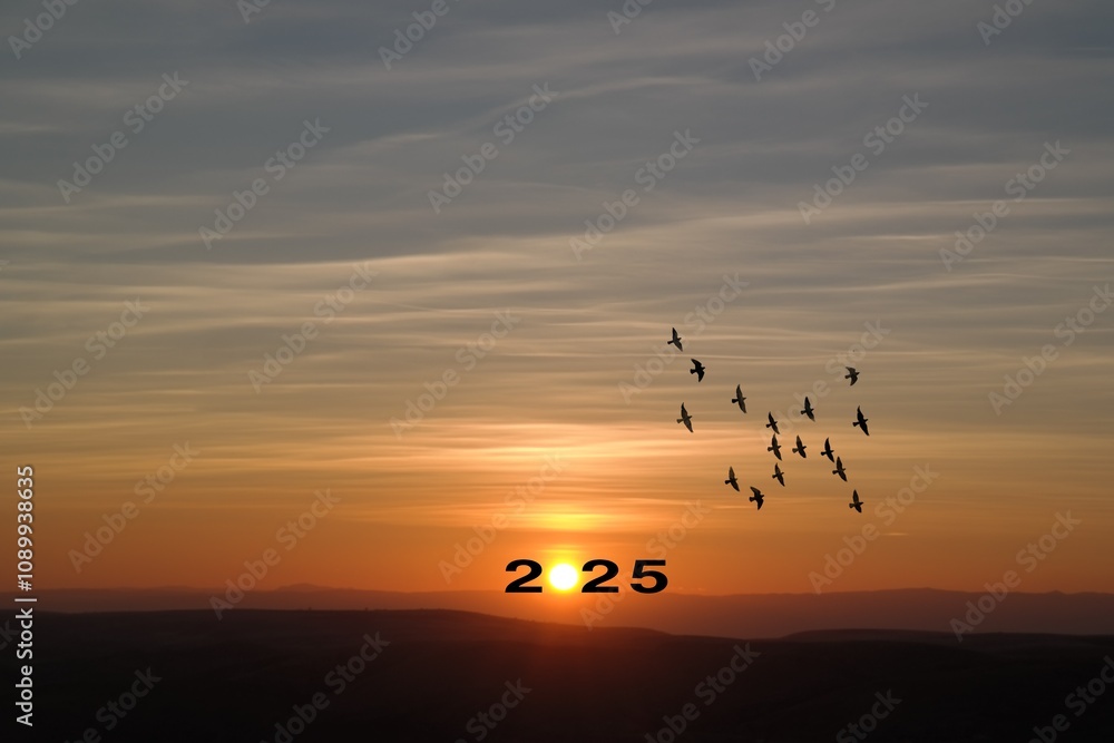 Naklejka premium Transition from 2024 to new year 2025 concept with text on sun rising sky. Creative Concept.