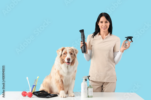 Female groomer with hair dr...