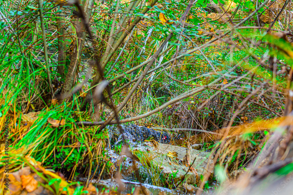 Obraz premium Cascada del salto de la novia en cirat