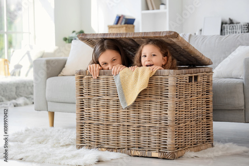 Cute sisters in wicker bask...