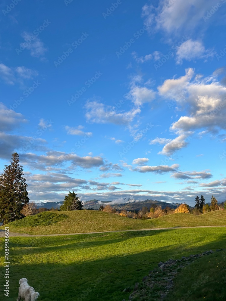 Obraz premium landscape with clouds